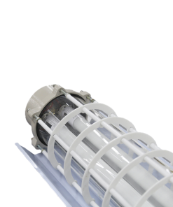 Đèn phòng chống nổ EEW BPY2x36