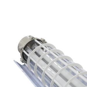 Đèn phòng chống nổ EEW BPY2x36